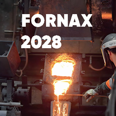Fornax 2028